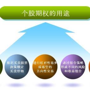 個股期權(quán)ABC投資管理 掌握核心策略與風險控制
